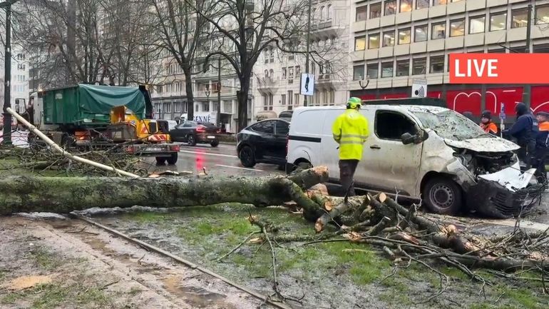 Direct - La Tempête Goretti frappe la Belgique : les camions de plus de 13 m ne pourront plus circuler sur certains tronçons en province de Liège et de Luxembourg dès 14 heures